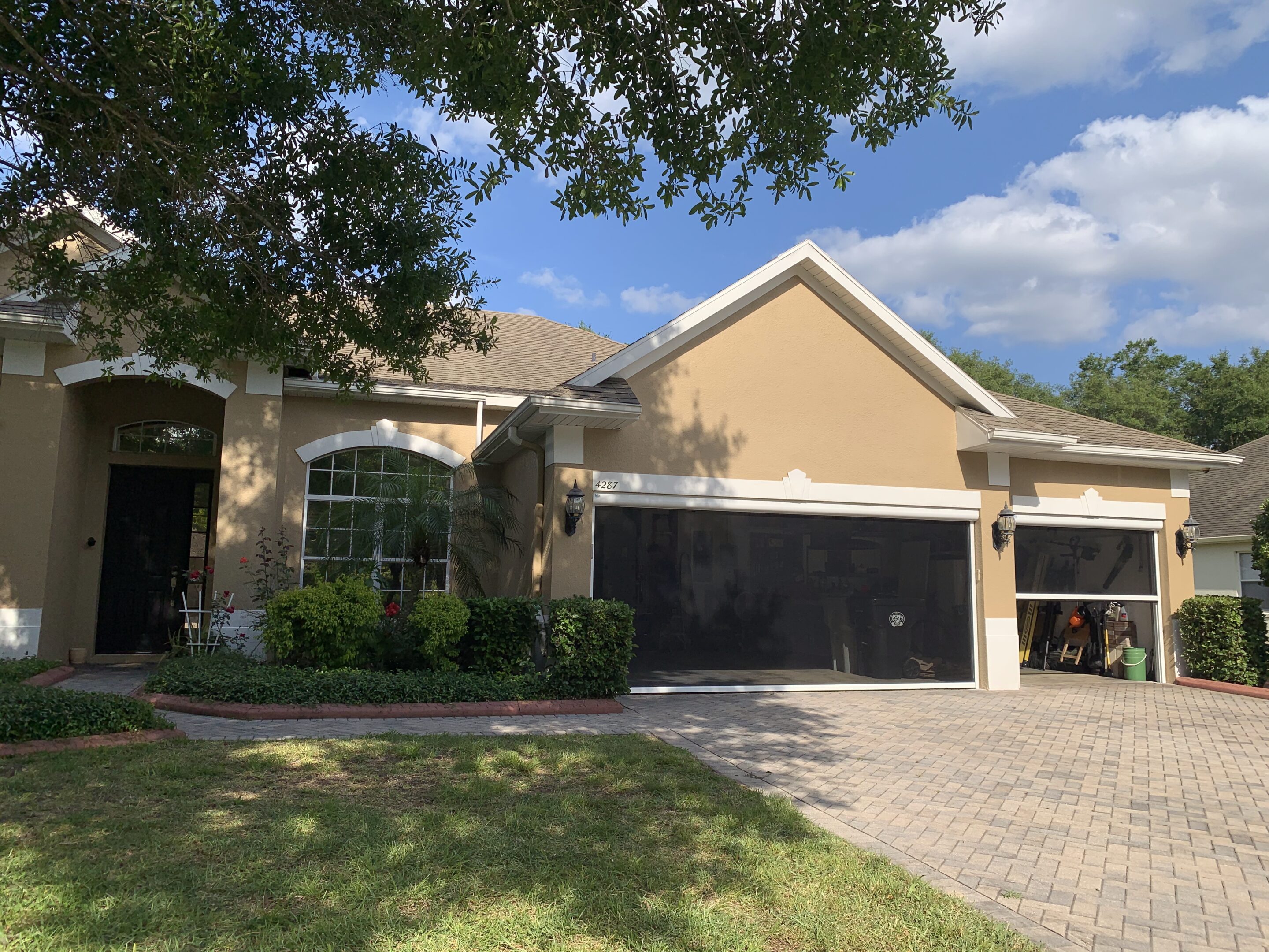 Alex Salgado-Discount Tree Service