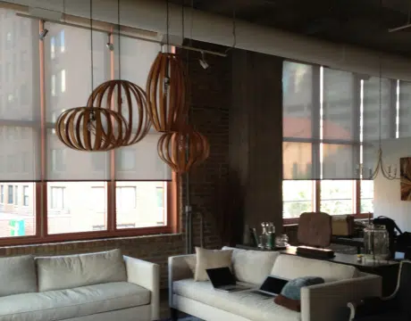 Discount Tree_tree removal Pompano Beach FL_featured image